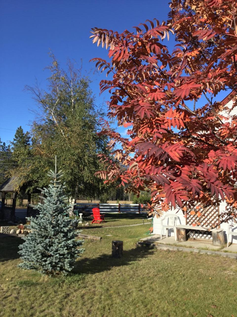 Rose Cottage Bed & Breakfast Valemount Exterior foto